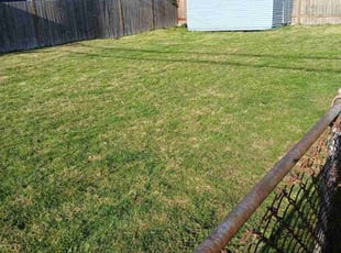 lea e.'s Lawn Mowing service result