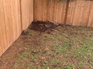 Leaf Removal by Antonio Ortega for Cara C. in Portland, OR