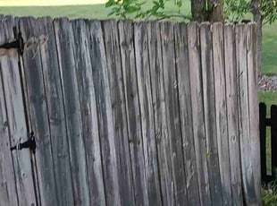 Bush Trimming by Anthony Welch for Elaine T. in Streetsboro, OH