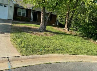 Mark B.'s Lawn Care service result