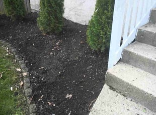 Weeding by Caleb Patton for Pat M. in Cincinnati, OH
