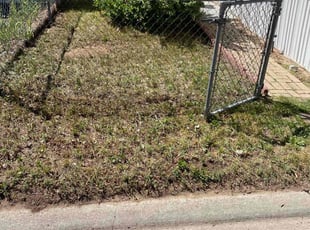 Cleanups by Aaron Fresquez for Mark M. in Federal Heights, CO