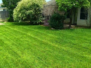 Chetan G.'s Lawn Care service result