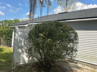 Bush Trimming by Ramon Taguja for Phillip J. in Lakeland, FL