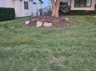 Cleanups by Ron Sullivan for John T. in Omaha, NE