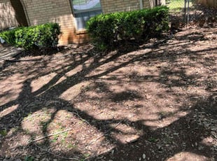 Leaf Removal by Logan Holzmeier for Joe R. in Cleburne, TX