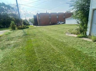 Mechelle B.'s Lawn Service service result