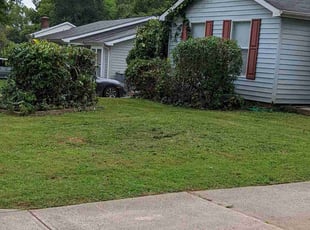 Bush Trimming by Alan Cortes for Onika M. in Charlotte, NC