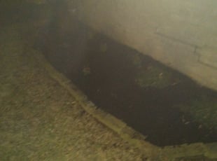 Mulching by Clarence Bryant for Shontonio S. in Houston, TX
