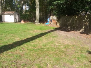 Leaf Removal by Alejandro Gamboa for Jared K. in Cherry Hill, NJ