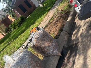 Leaf Removal by Cecilia Dela Fuente for Tryna S. in Houston, TX