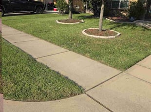 Daniel S.'s Lawn Mowing service result