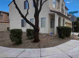 Bush Trimming by Lamont Johnson for Jeffrey T. in LAS VEGAS, NV