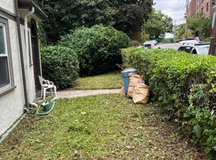Dixie H.'s Bush Trimming service result
