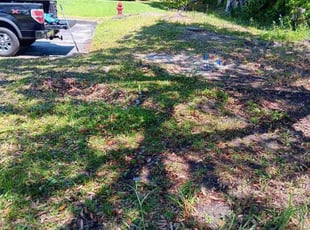 Leaf Removal by Adam Watters for Brian W. in Panama City, FL