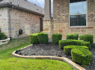Weeding by Severa Rosie Lara for Laura F. in Euless, TX