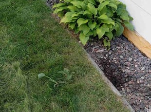 Weeding by for True N. in Minneapolis, MN