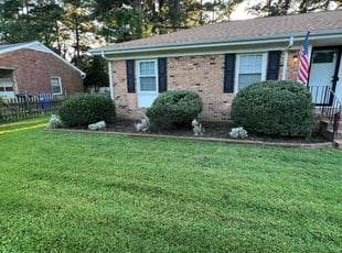 Bush Trimming by James Sabo for Joseph B. in Portsmouth, VA
