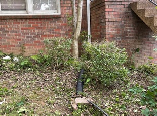 Bush Trimming by Blake Burris for Ro P. in Nashville, TN