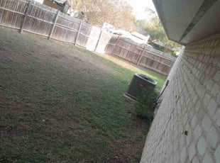 Leaf Removal by Christopher Moreno for Mariam A. in San Antonio, TX