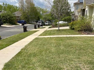 Earl A.'s Lawn Service service result