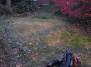Cleanups by Derrick Graves for Taryn J. in Takoma Park, MD