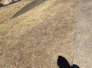 Leaf Removal by Deshawn Stevens for patricia m. in Hurst, TX