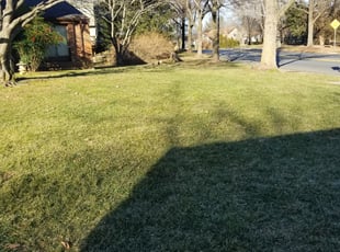 Cleanups by Miguel Santos for Glenn M. in Germantown, MD