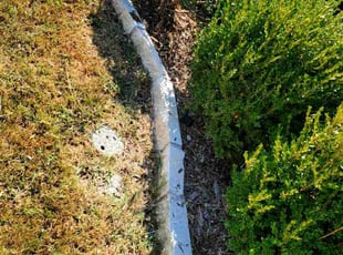 Olusegun B.'s Flower Bed Weeding service result