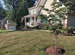 Elder Jesse S.'s Lawn Mowing service result