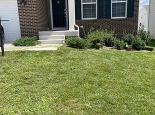 Fred W.'s Lawn Maintenance service result