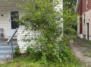 Bush Trimming by James Abernathy for Sarah N. in Cincinnati, OH