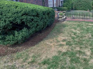 Landscaping by Peter Monopoli for Johanna M. in Newton, MA