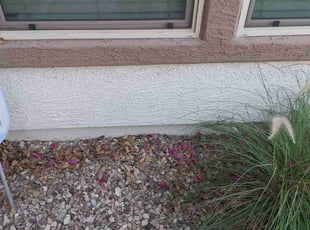 Weeding by Marvin Gray for Steven C. in Phoenix, AZ