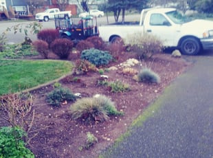 Cleanups by Marydonna Barkley for M B. in Federal Way, WA
