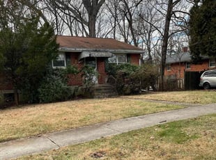 Leaf Removal by Brandon Weems for James H. in Silver Spring, MD