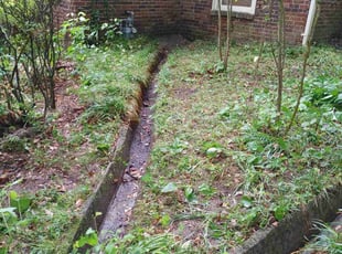 Leaf Removal by Lamartei Diggs for Natalie Z. in Atlanta, GA