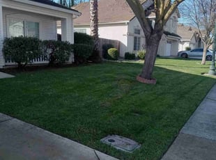 Beverly C.'s Lawn Care service result