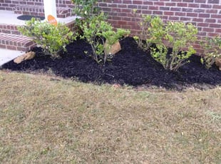 Bush Trimming by Rusty Brown for Judith S. in Villa Rica, GA