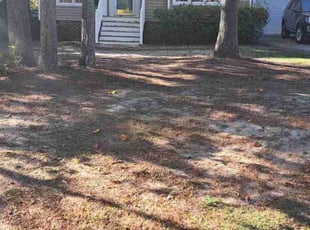 Leaf Removal by Titus Hayes for Lewis F. in Mechanicsville, VA
