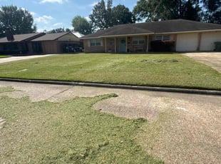 Reginald O.'s Lawn Care service result