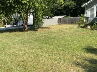 Dana T.'s Lawn Mowing service result