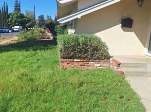 Bush Trimming by Juan Gomez for UNEKI B. in Los Angeles, CA