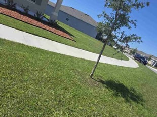 Randi S.'s Lawn Care service result