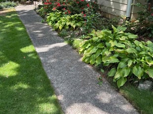Shelley M.'s Grass Cutting service result