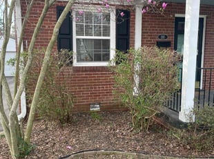 Bush Trimming by Maria Ramos for Tarah C. in Richmond, VA