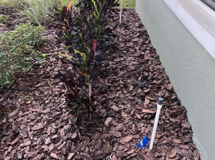 Weeding by Daniel Gonzalez for Karen R. in Haines City, FL