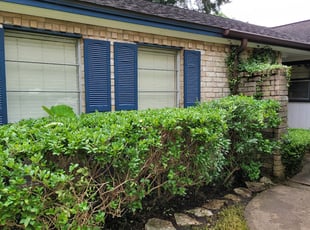 Bush Trimming by Briana Rivera for Carrie R. in Missouri City, TX