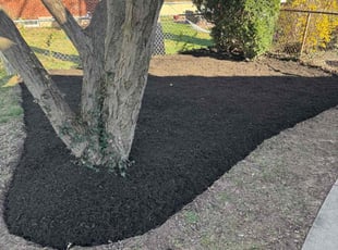 Mulching by Jairon Villagran for Caryl V. in Rockville, MD