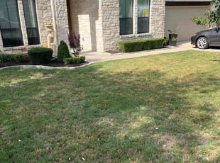 Bush Trimming by Eliseo Guerrero RamÃrez for Konnie W. in Austin, TX